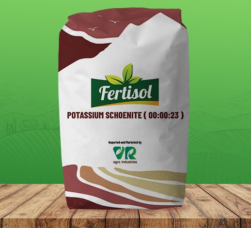 Vr-product-for-website-00-00-23